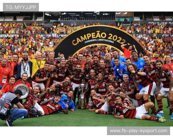 南美解放者杯火爆开战阿根廷双雄展实力，南美解放者杯的由来